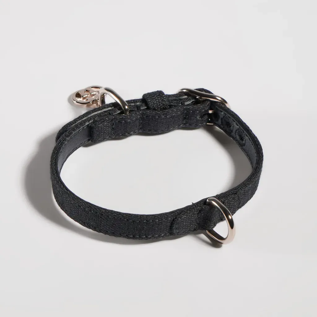Extra-Small Pet Collar