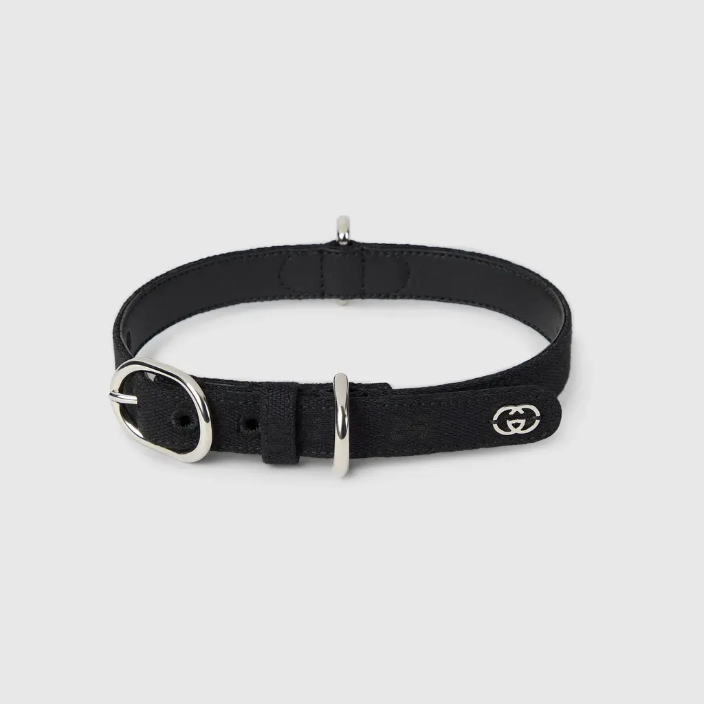 Small/Medium Pet Collar