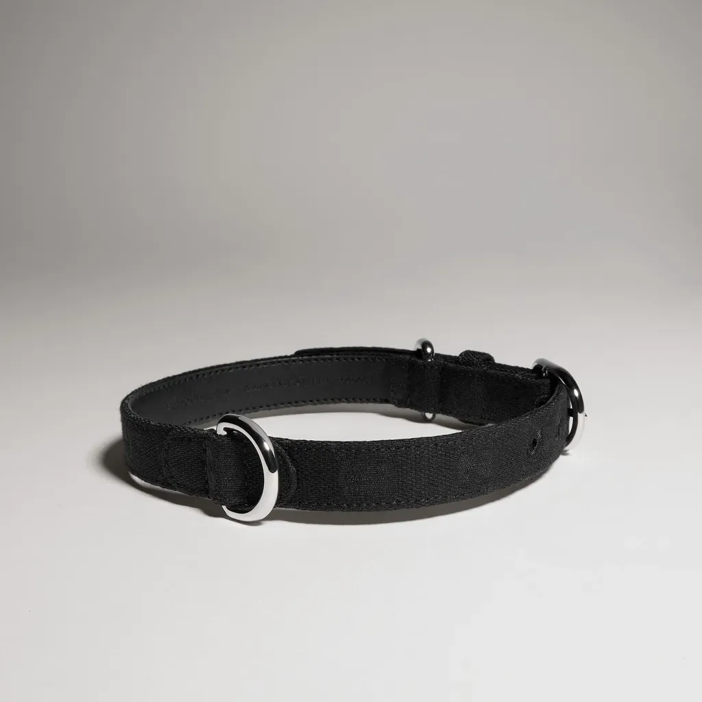 Small/Medium Pet Collar