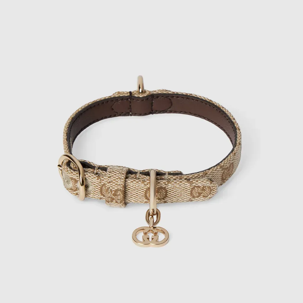 Extra-Small Pet Collar