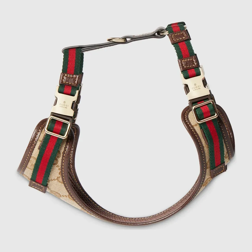 Extra-Small Padded Pet Harness