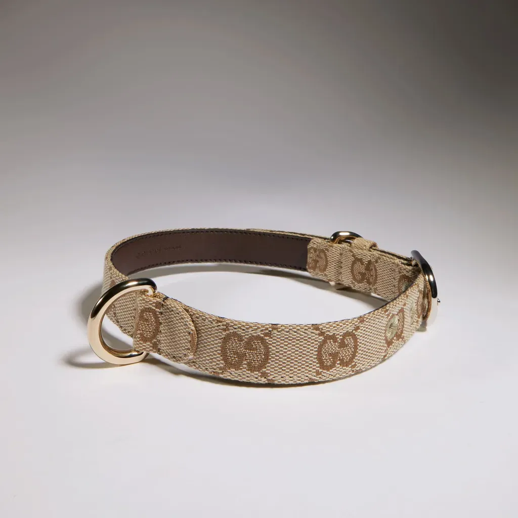 Small/Medium Pet Collar