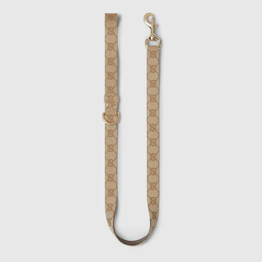 Large Pet Leash