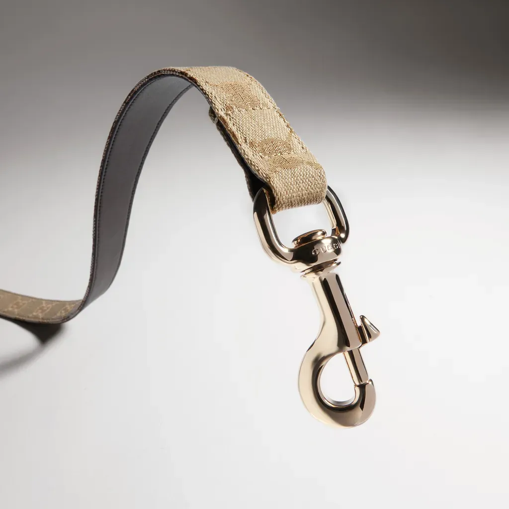 Large Pet Leash