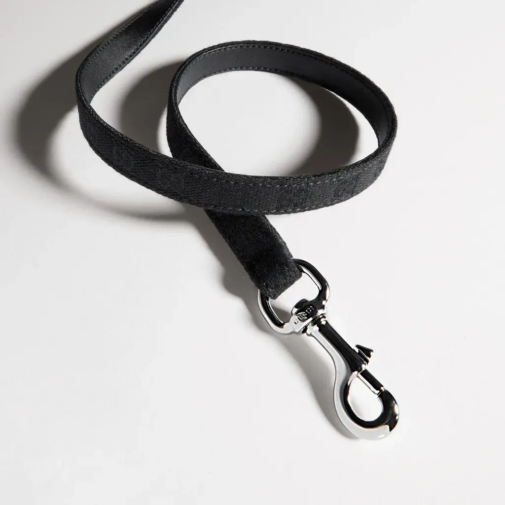 Extra-Small Pet Leash