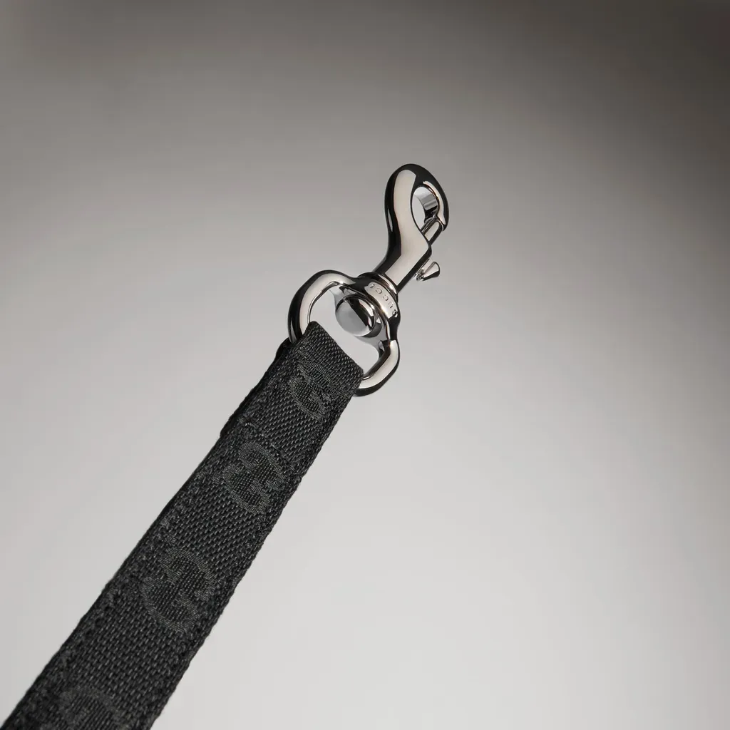 Small/Medium Pet Leash