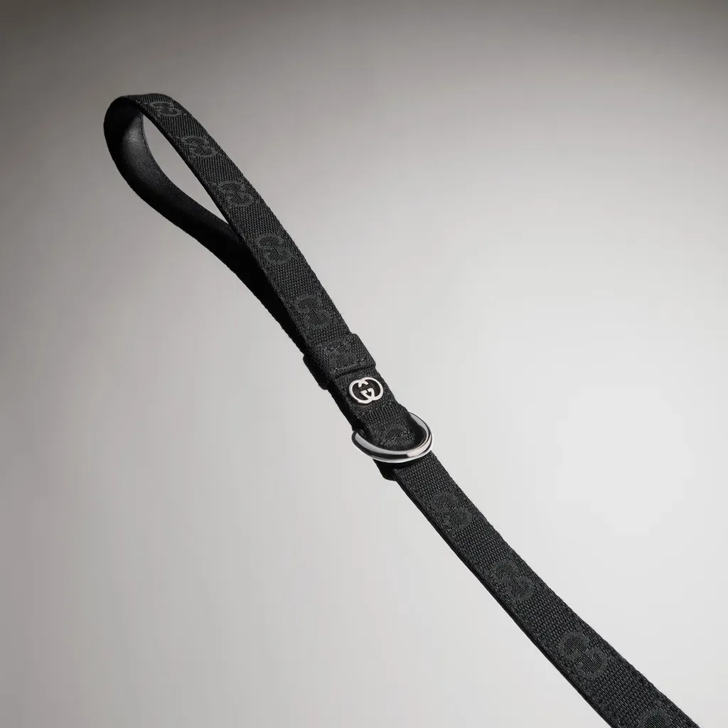 Small/Medium Pet Leash
