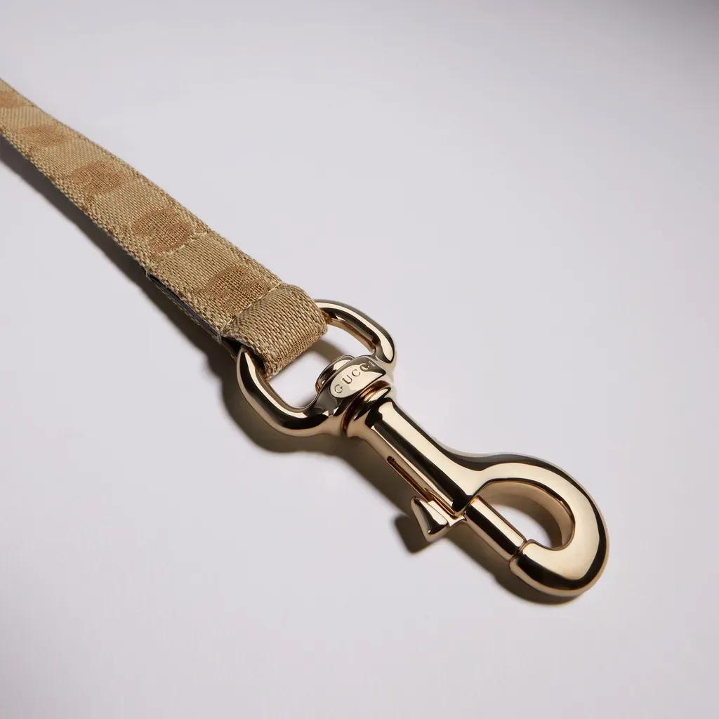 Small/Medium Pet Leash