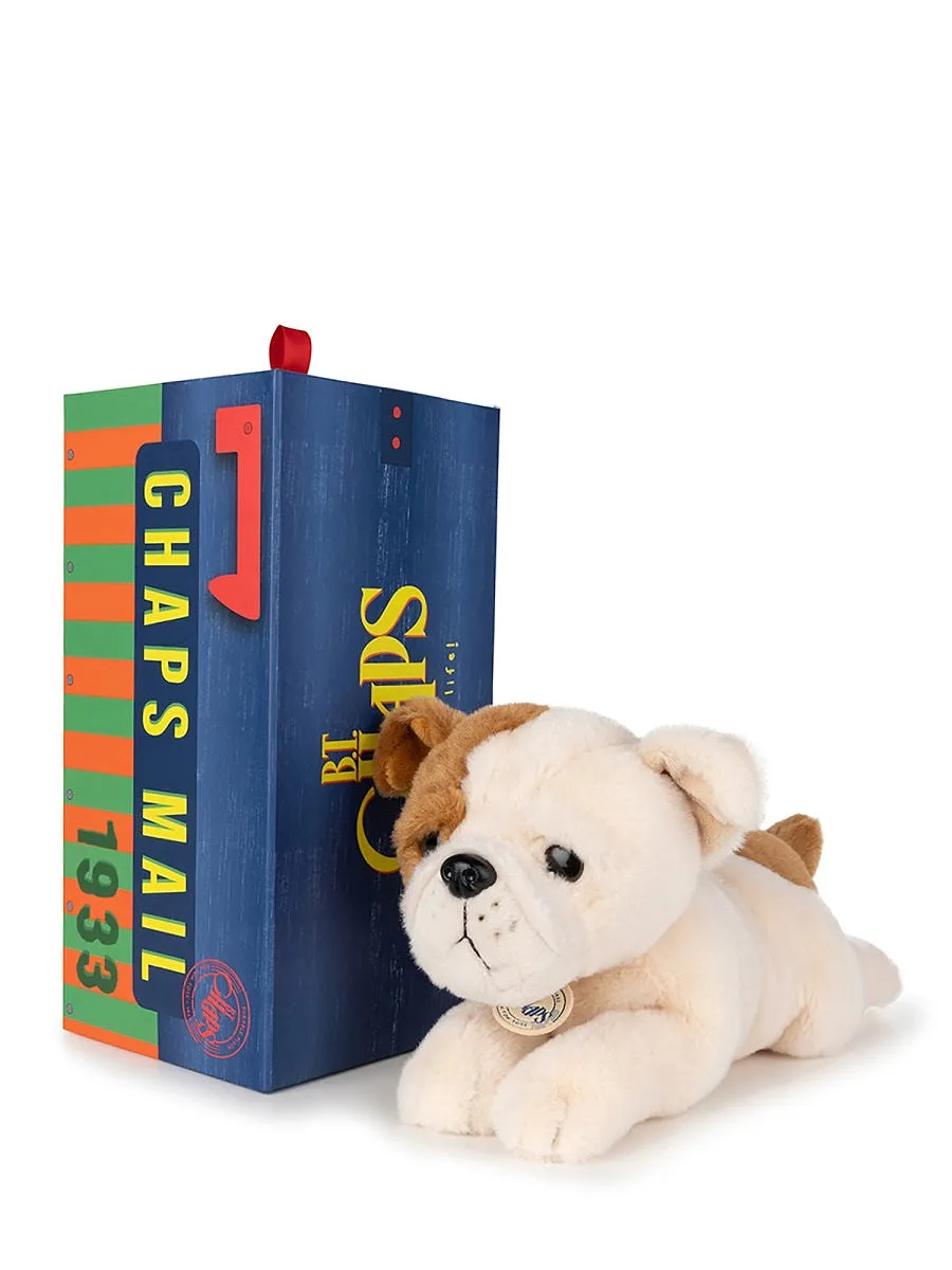 The American Bulldog In Giftbox
