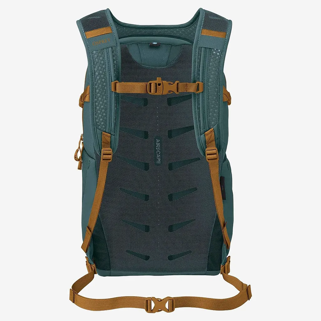 Osprey Daylite™ Plus Backpack