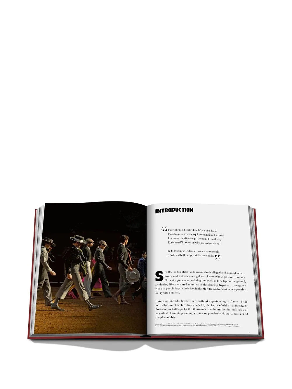 Assouline Sevilla Arte Book