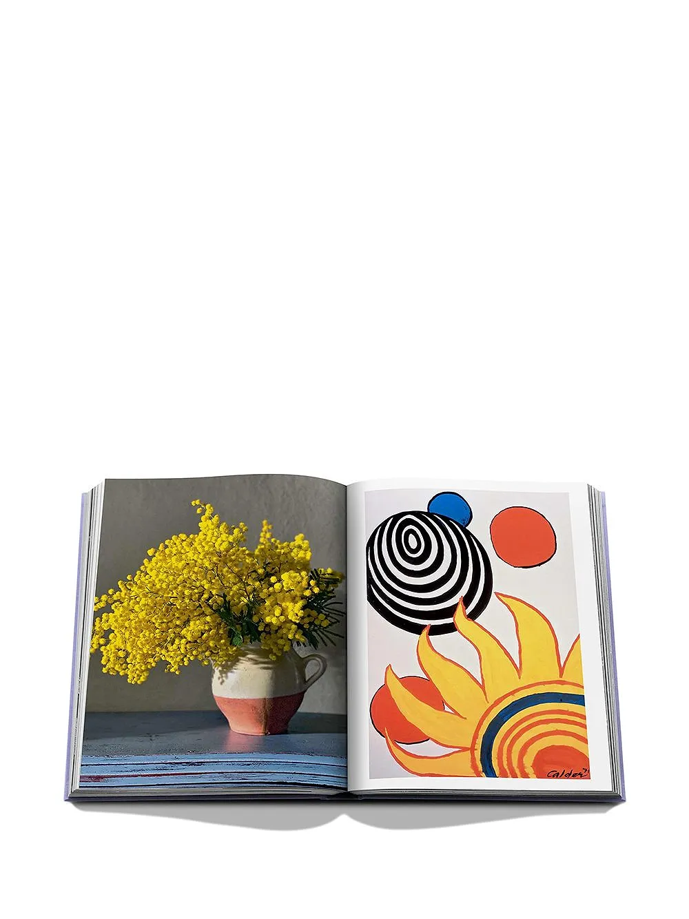 Assouline Provence Glory Book