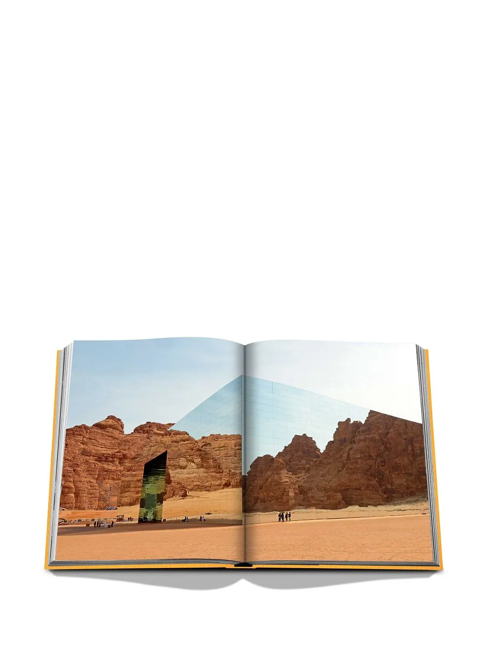 Assouline Alula Ever Book