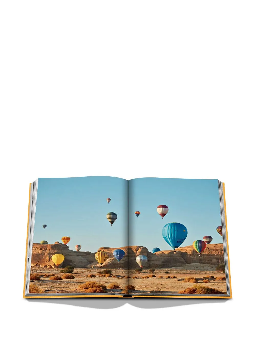 Assouline Alula Ever Book