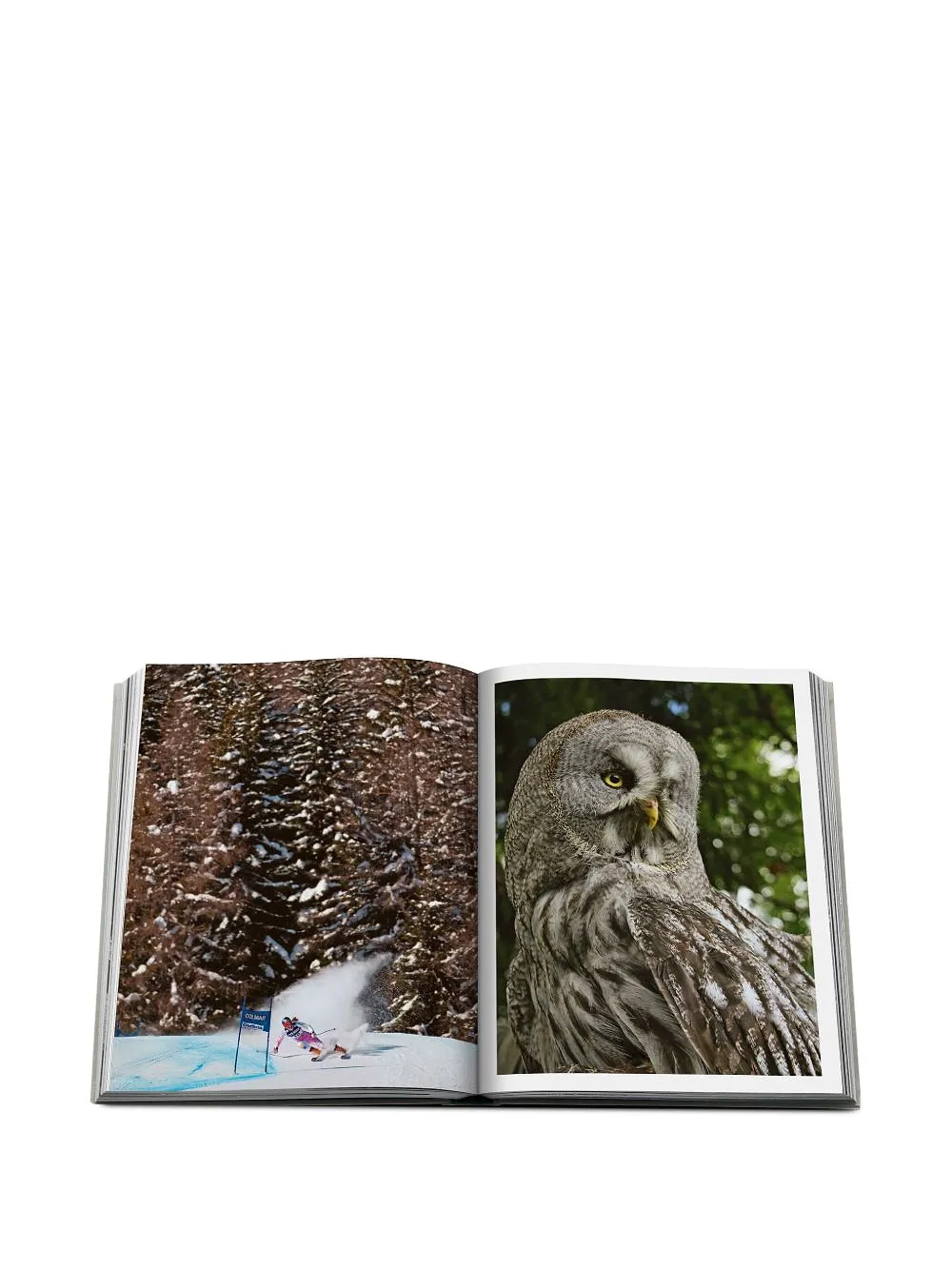 Assouline Cortina D'ampezzo Book