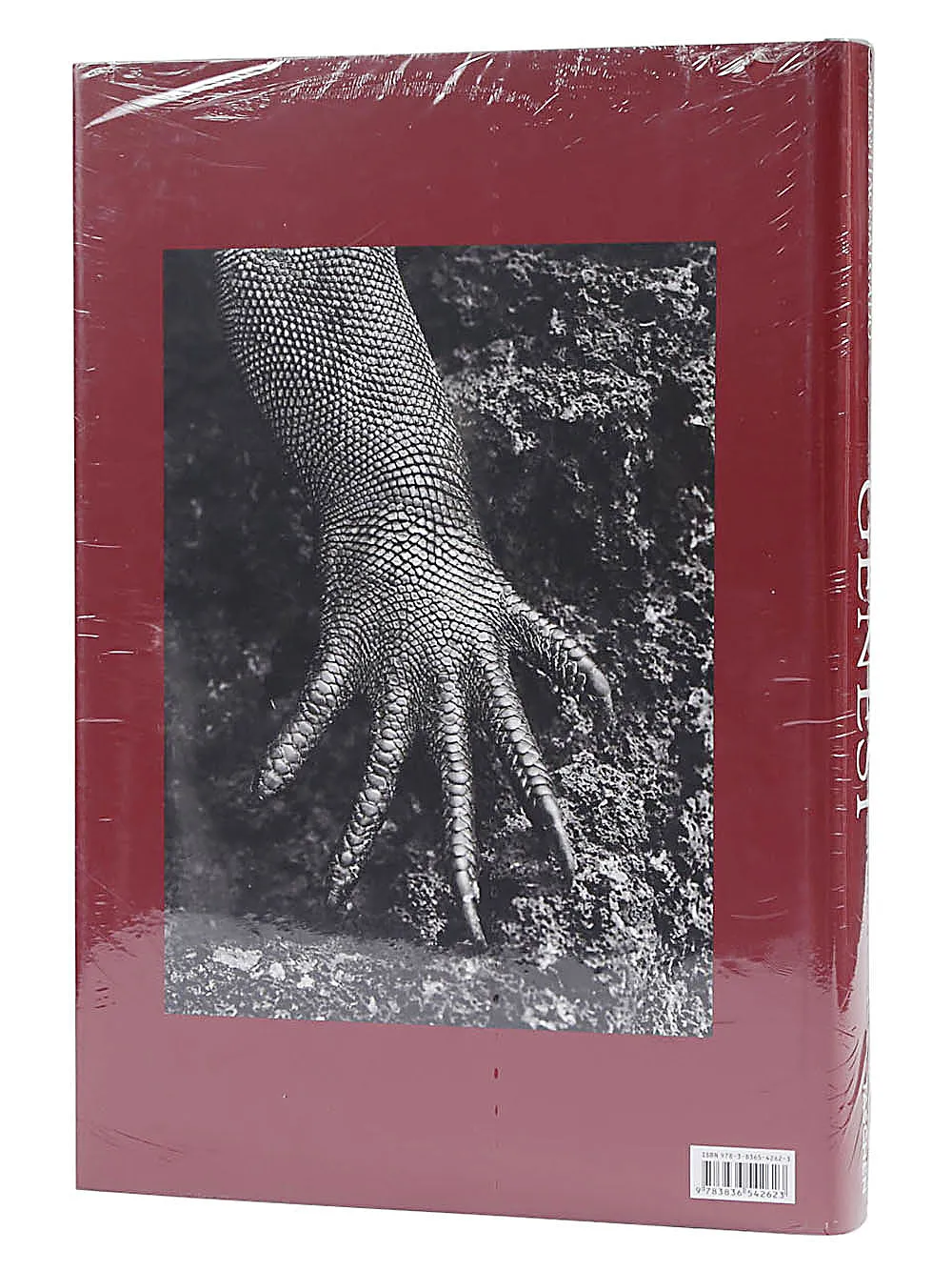 Taschen SebastiÃO Salgado. Genesi