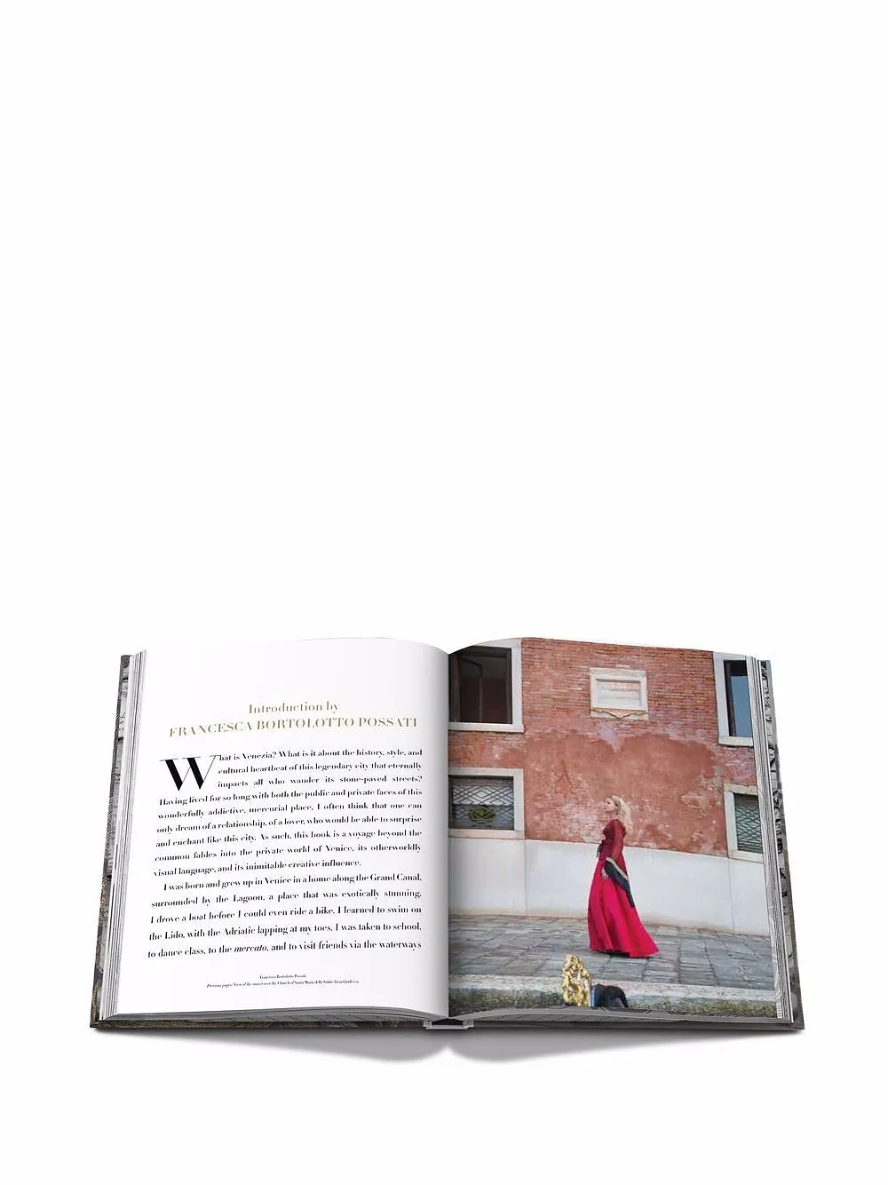 Assouline Venetian Chic Book