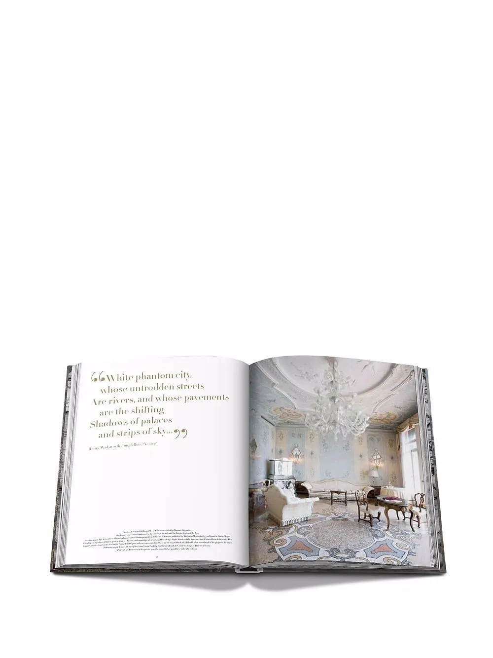 Assouline Venetian Chic Book