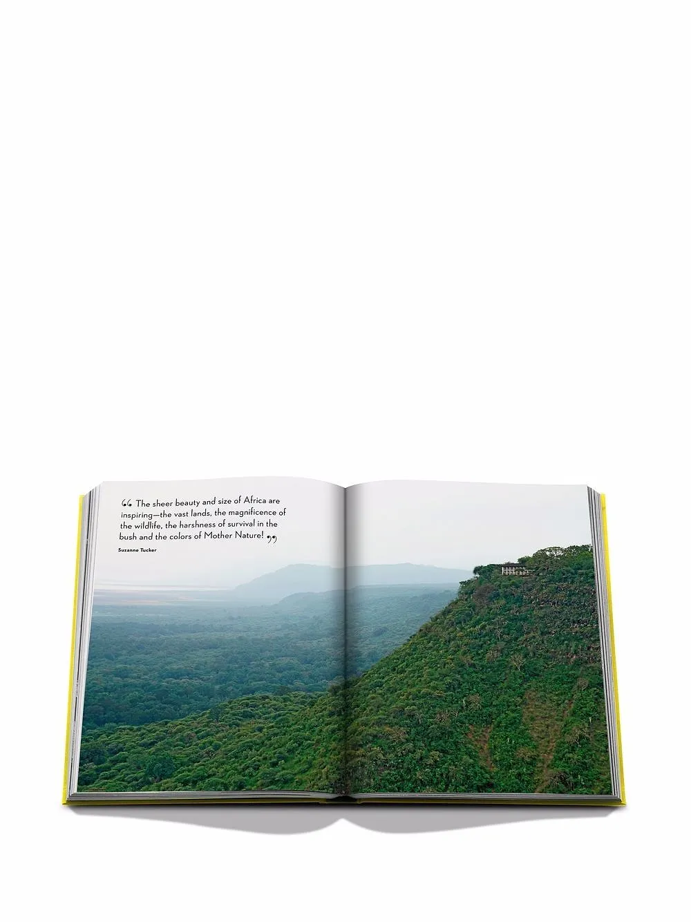 Assouline Travel By Design Book