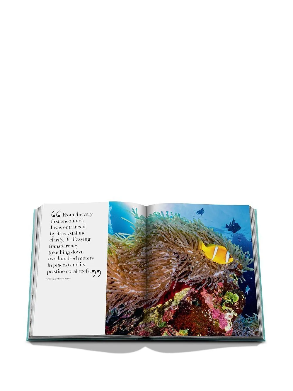 Assouline Saudi Arabia: Red Sea Book