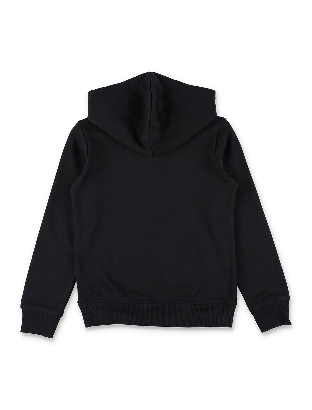 The North Face Kids Liquid Logo Hoodie