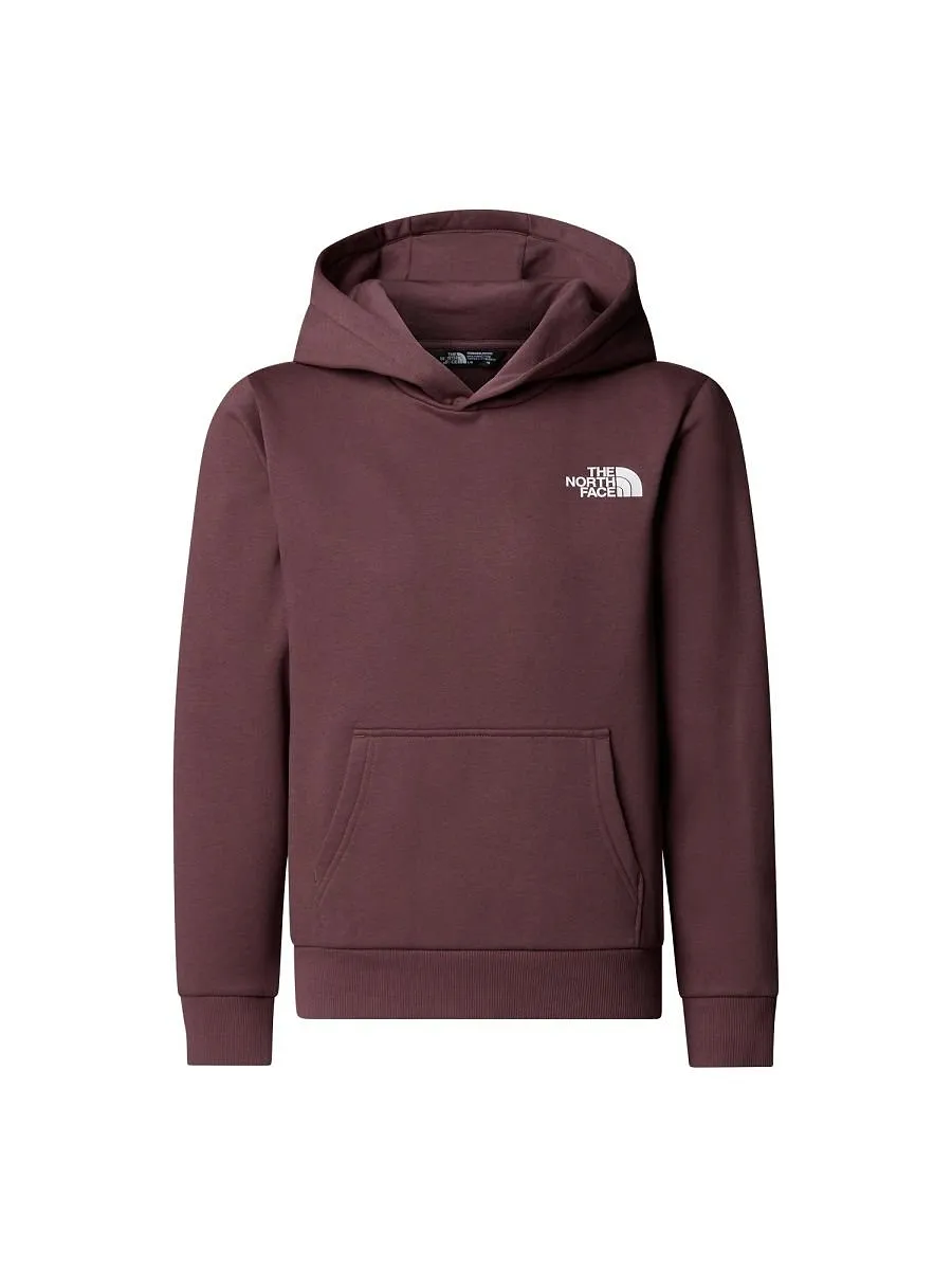 The North Face Kids Simple Dome Hoodie