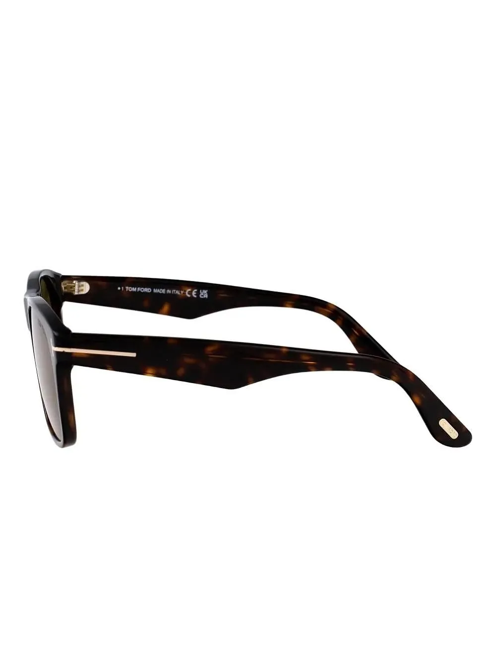 Tom Ford Eyewear Square Frame Sunglasses