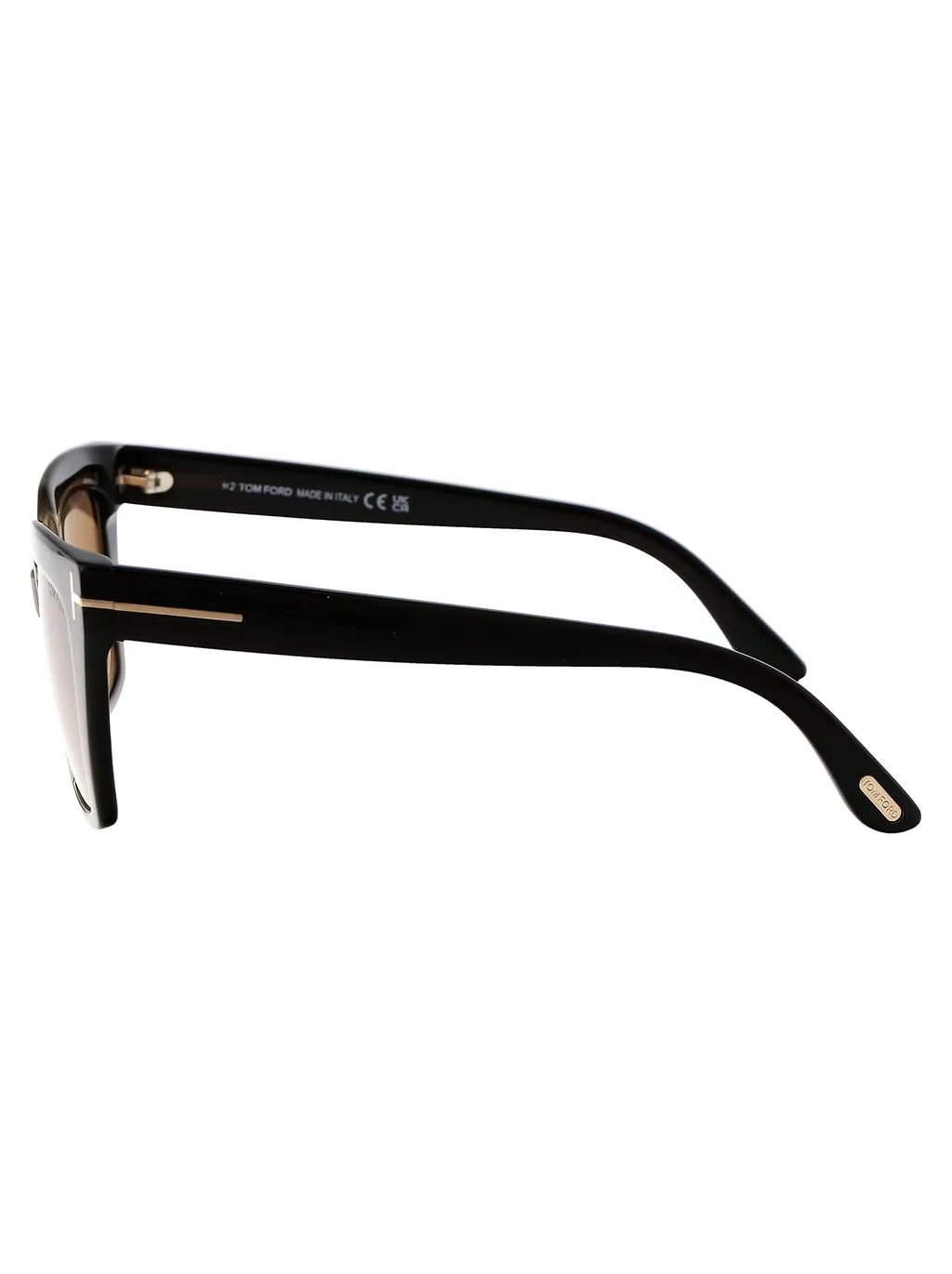 Tom Ford Eyewear Square Frame Sunglasses