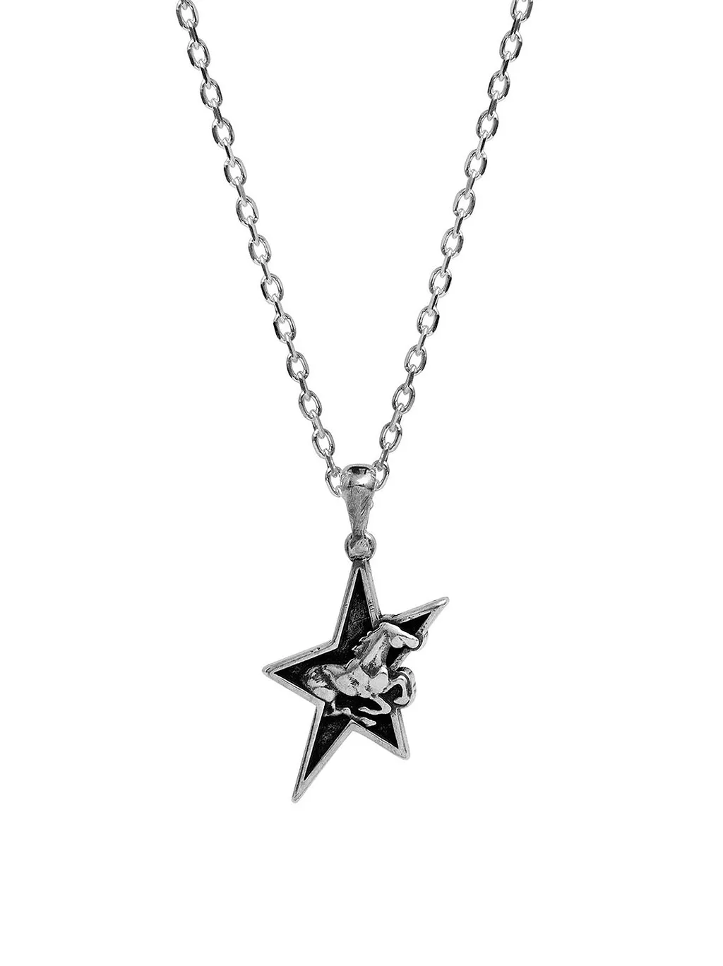 Twojeys Star Horse Pendant Necklace