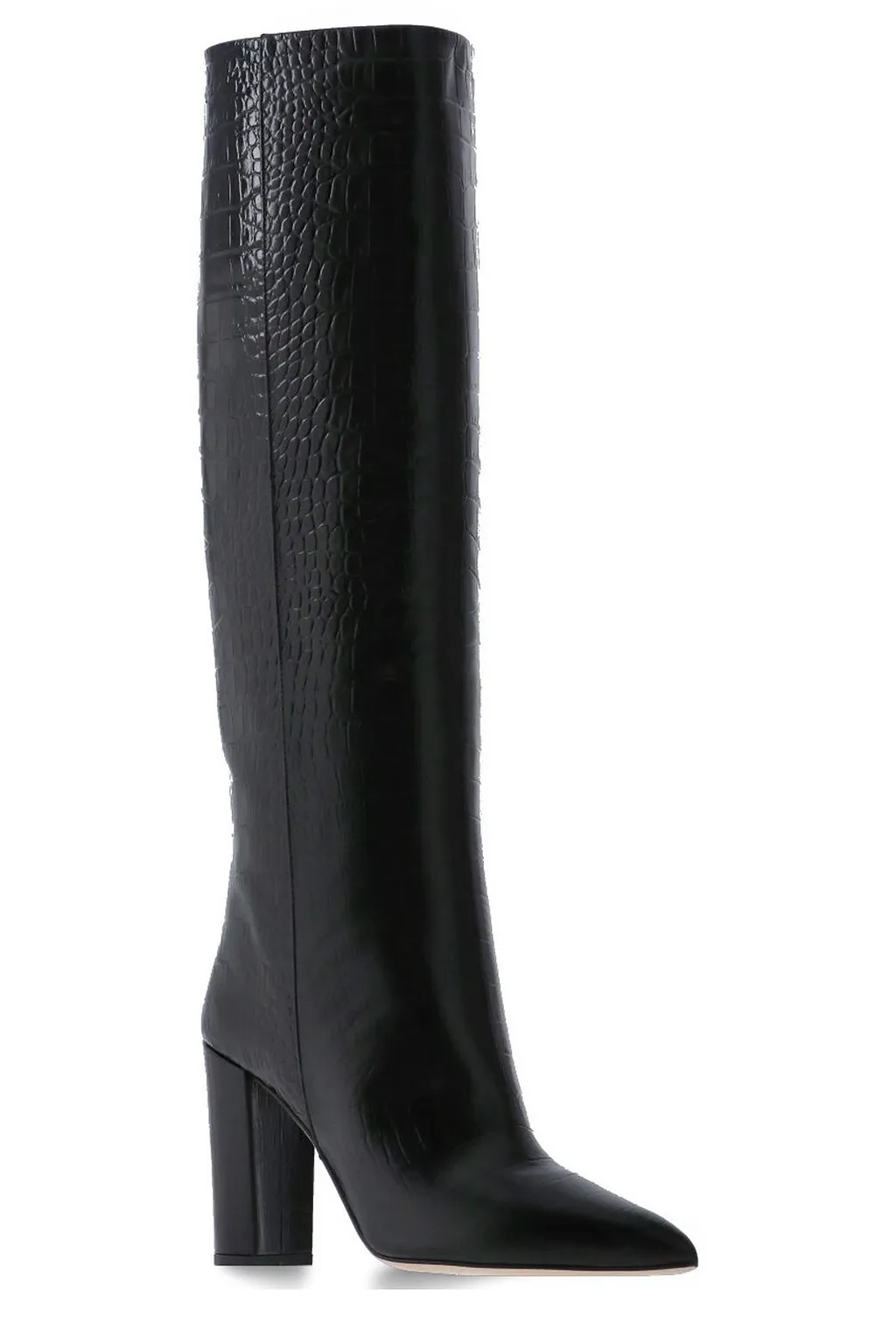 Paris Texas Pointed Toe Heeled Boots