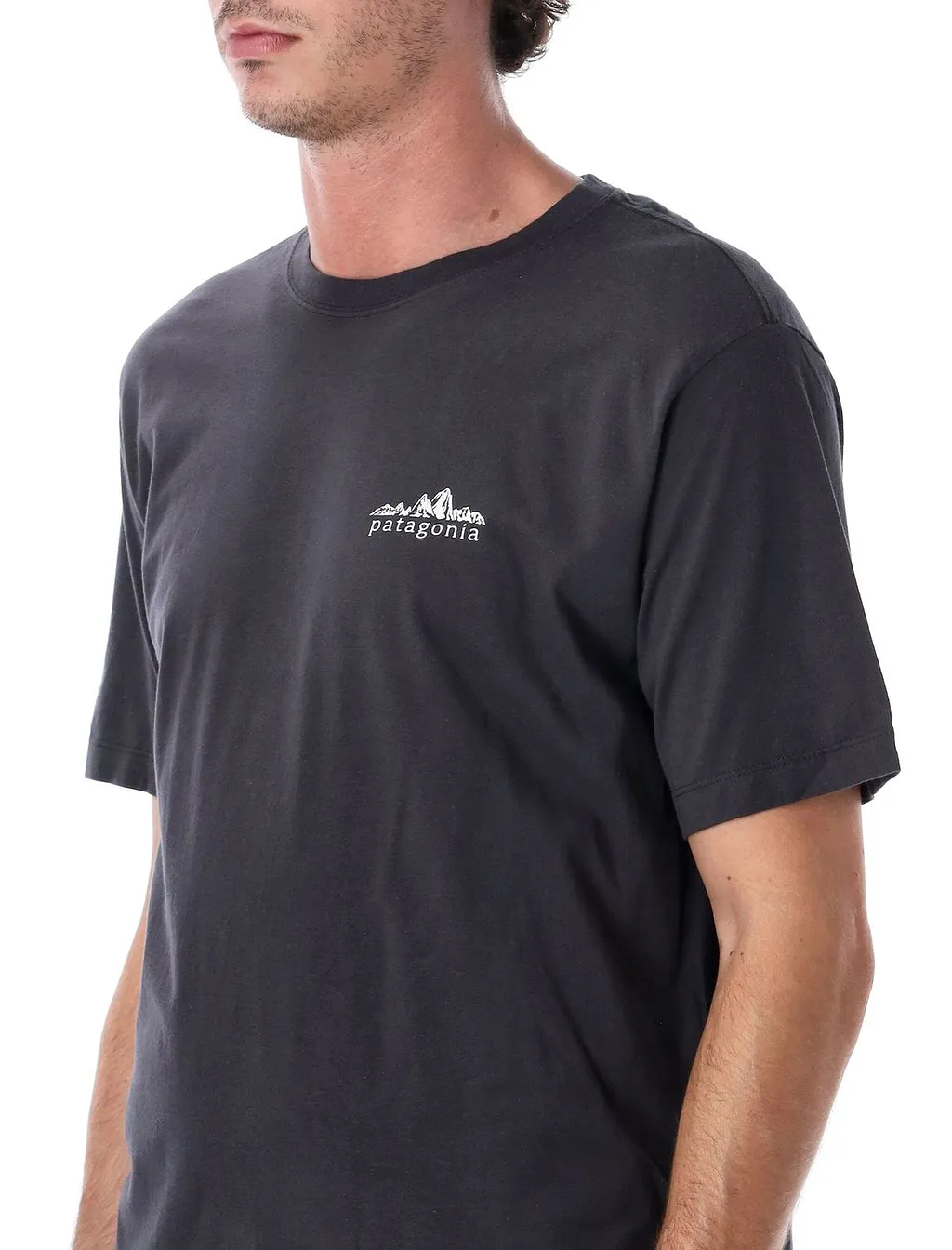 Patagonia Fitz Roy Foothills Logo T-Shirt