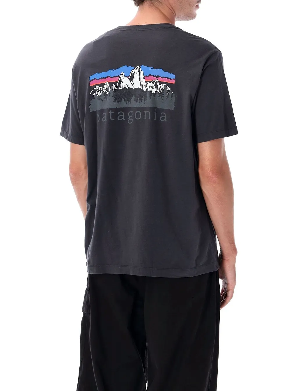 Patagonia Fitz Roy Foothills Logo T-Shirt