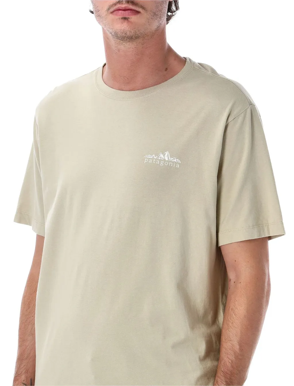 Patagonia Fitz Roy Logo T-Shirt