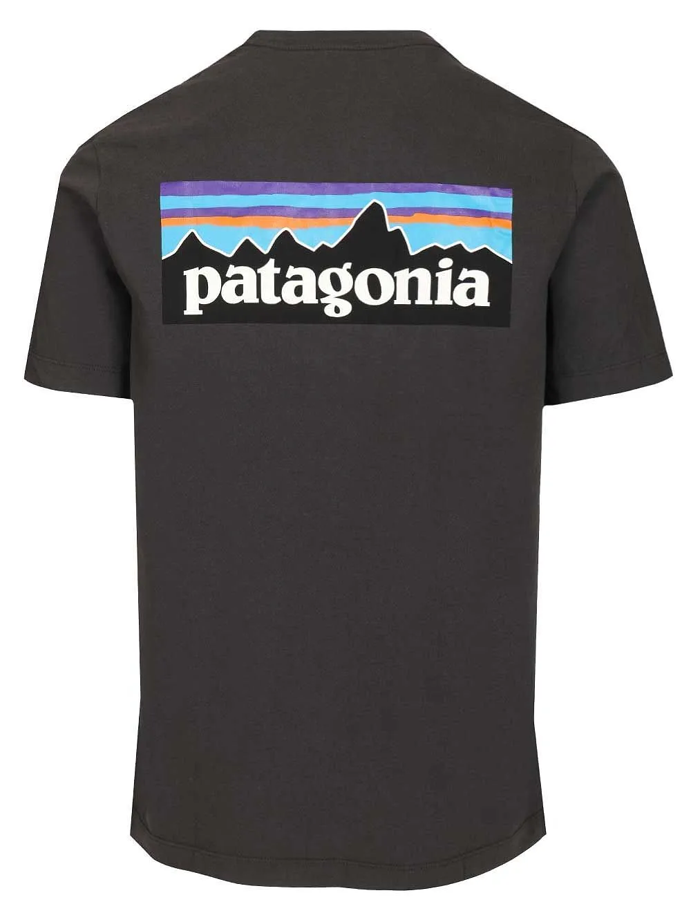 Patagonia P-6 Logo Graphic T-Shirt