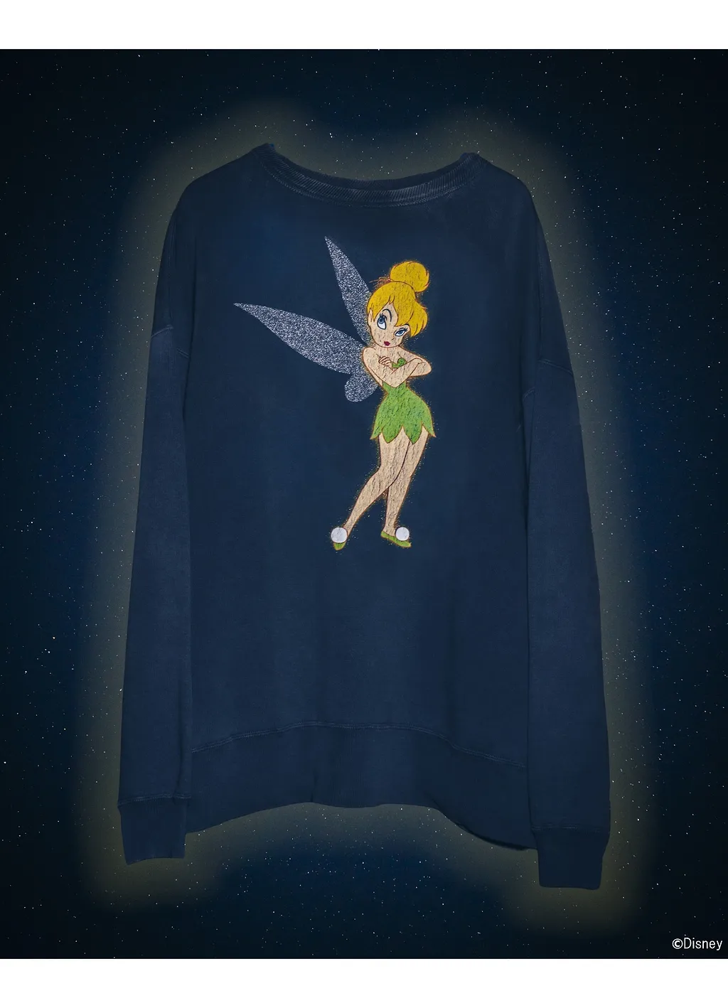 Tinker Bell Dsn_Crw Nk Swt