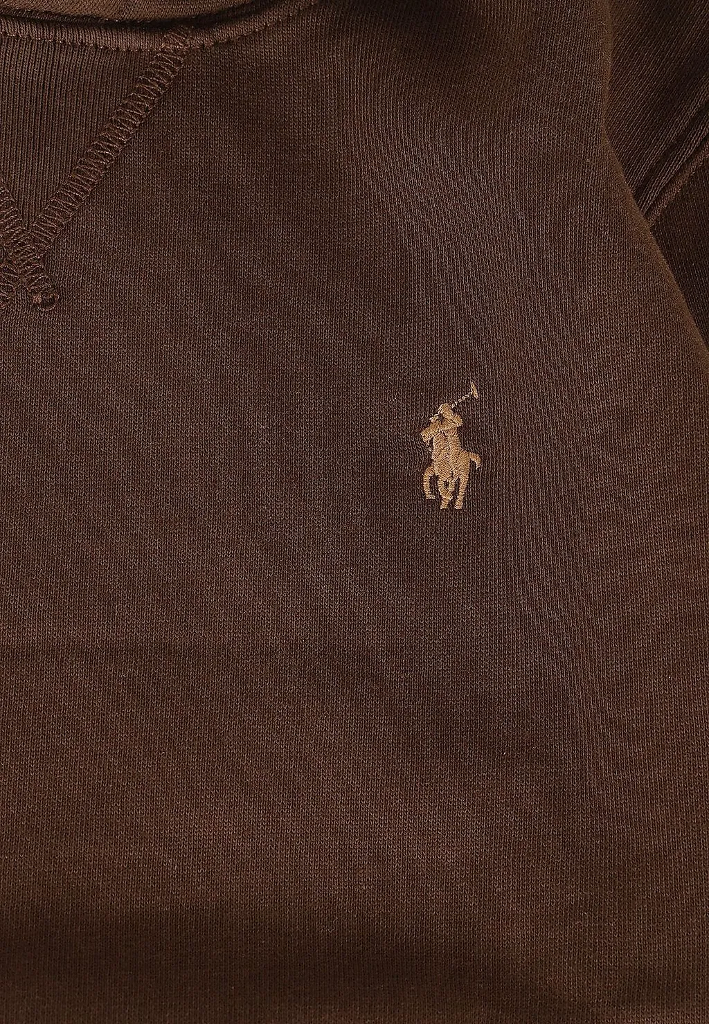 Polo Ralph Lauren Kids Logo Pullover Hoodie