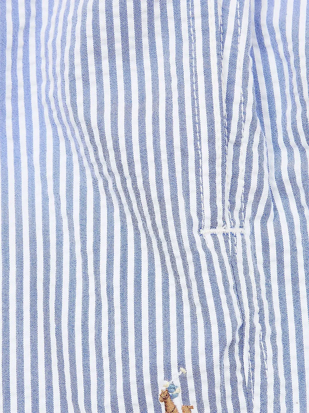 Ralph Lauren Kids Traveller Stripe Swim Shorts