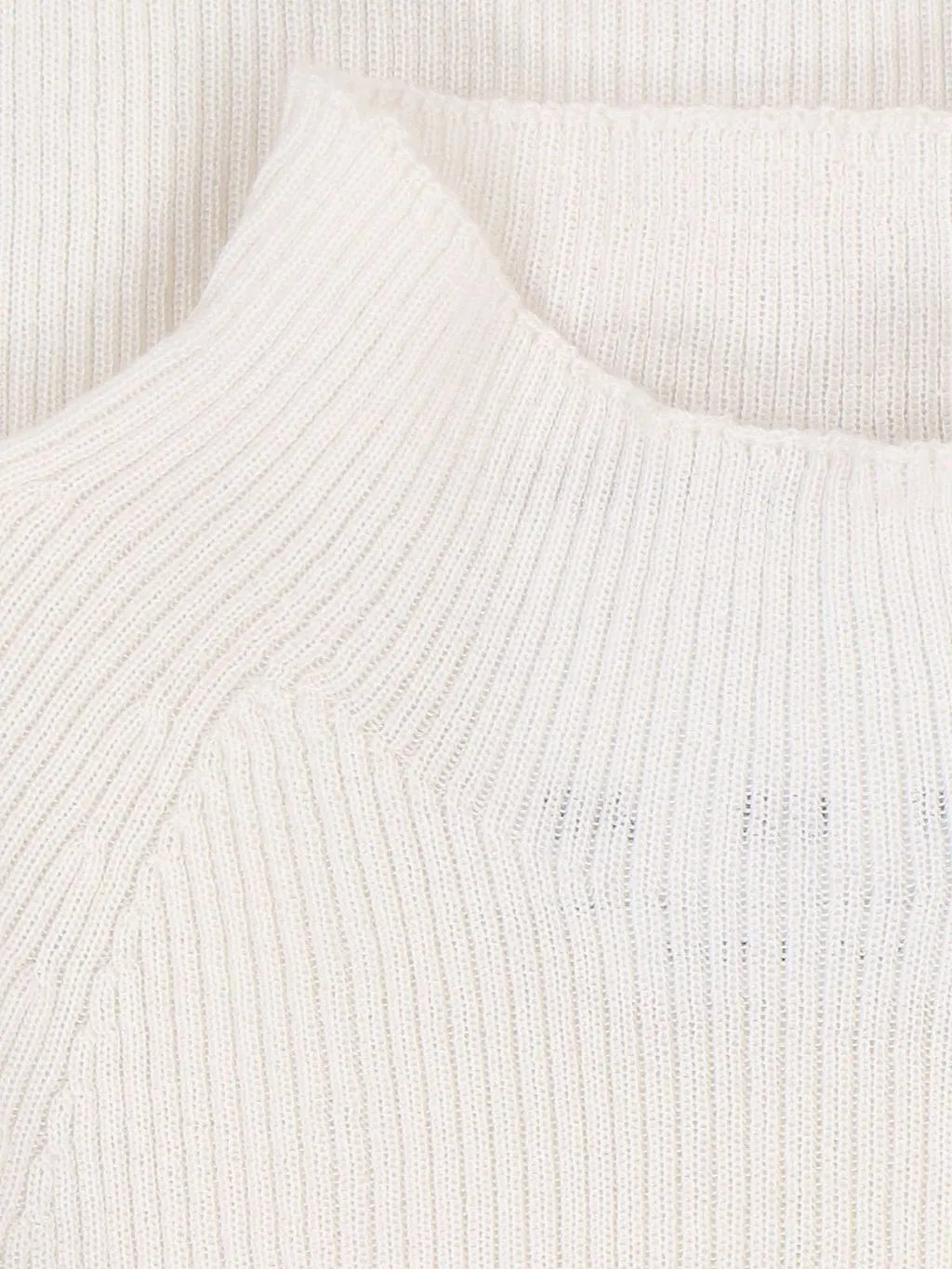 Sa Su Phi High-Neck Ribbed Sweater
