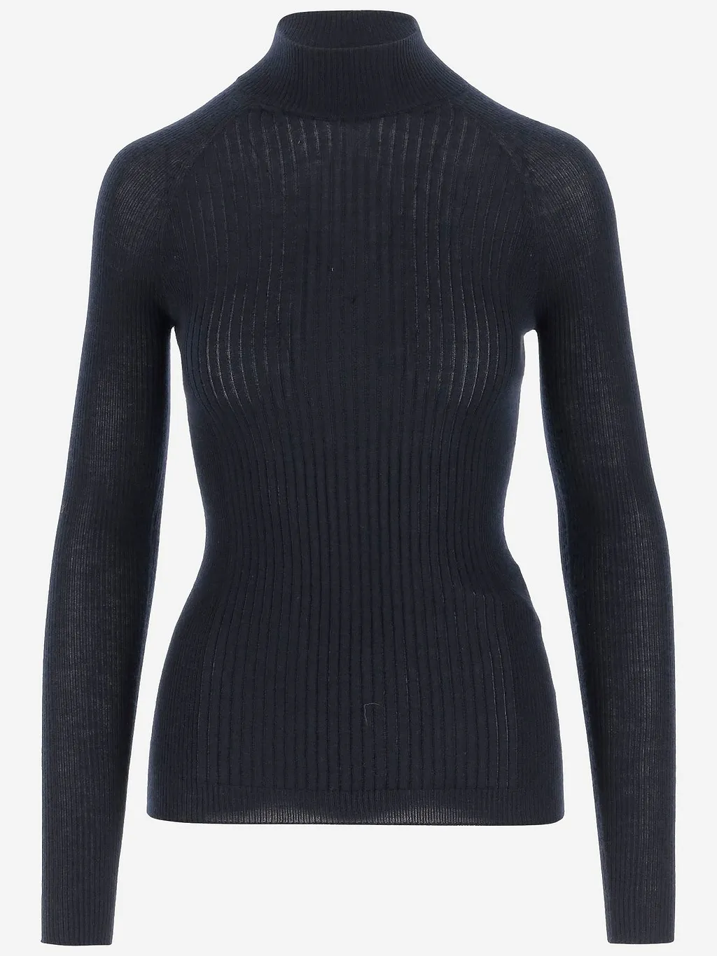 Sa Su Phi Ribbed High Neck Knitwear