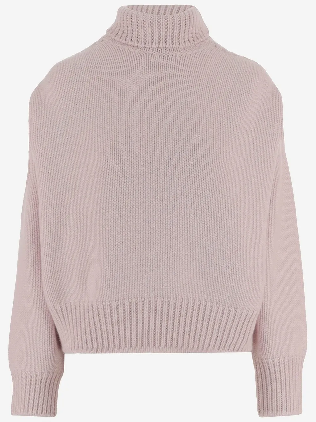Sa Su Phi Ribbed Turtleneck Knitted Sweater