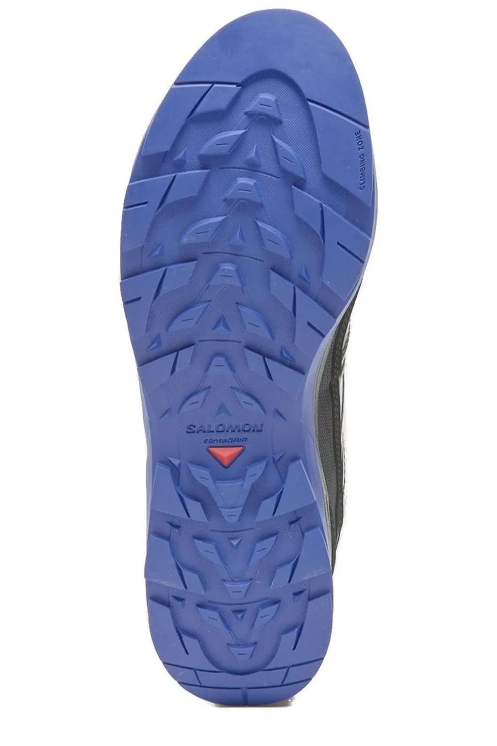 Salomon Quicklace Low Top Sneakers