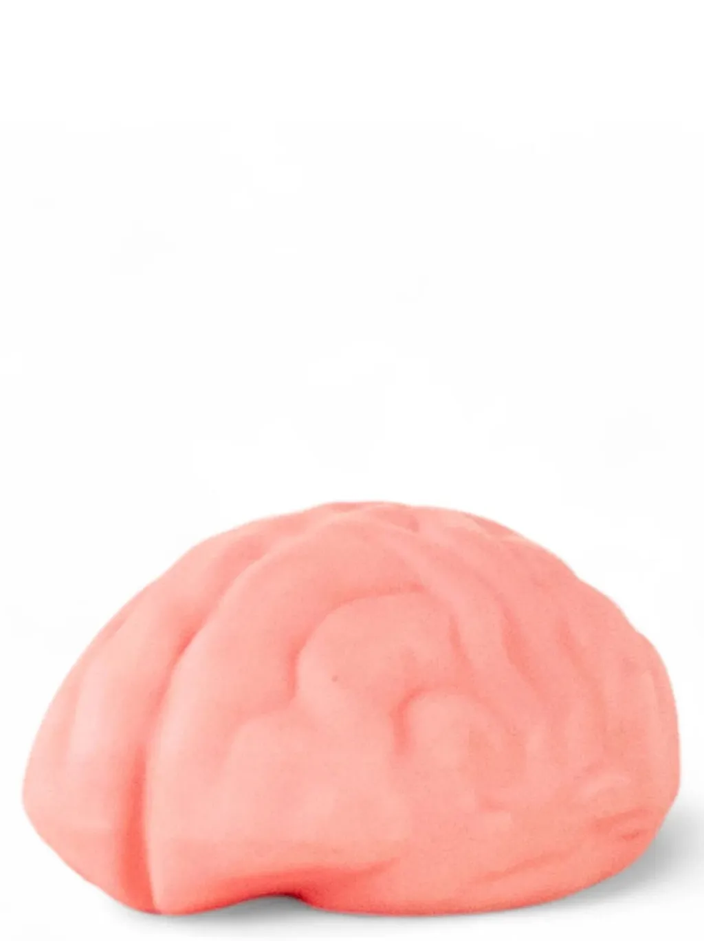 Brain Wash Soap Holder