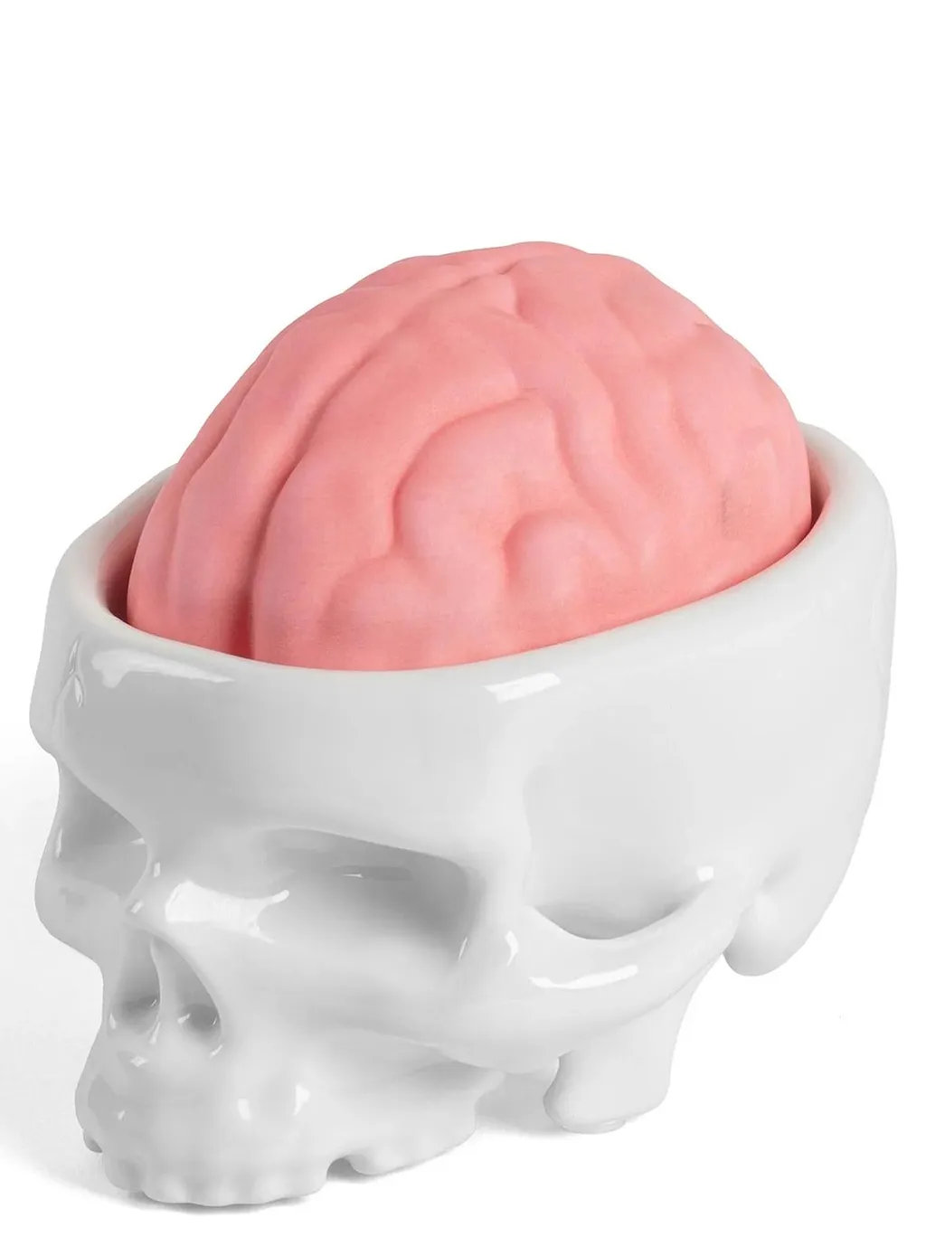 Brain Wash Soap Holder