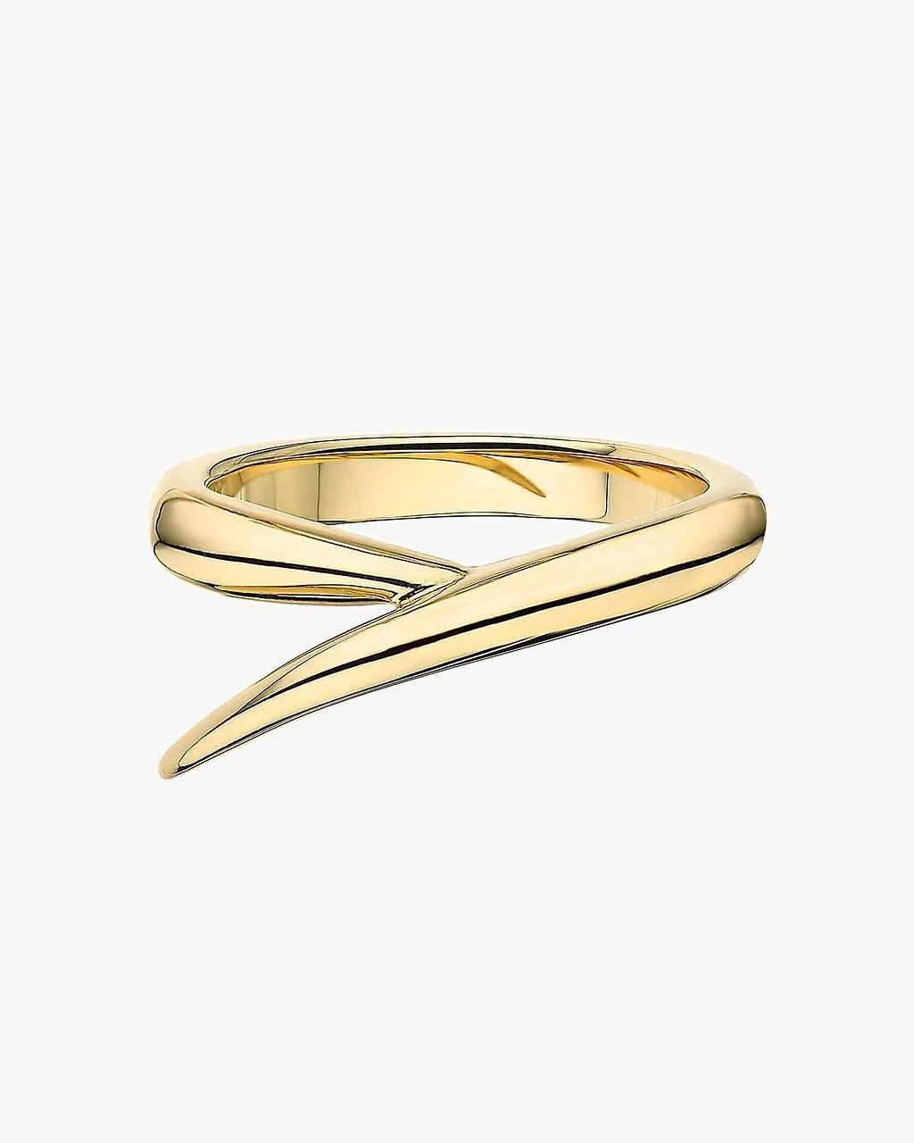 Interlocking Sculpted Ring