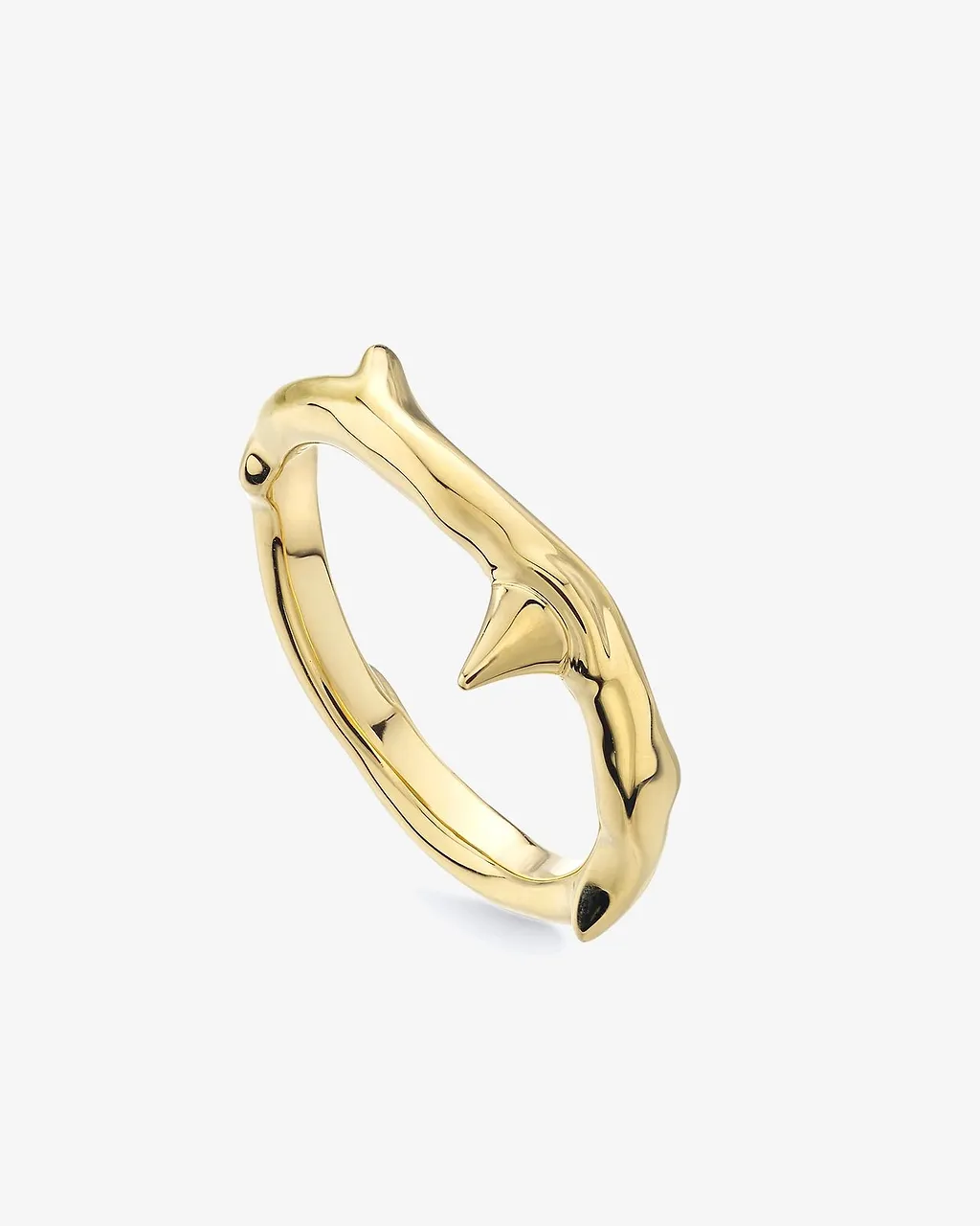 Rose Thorn Band Ring