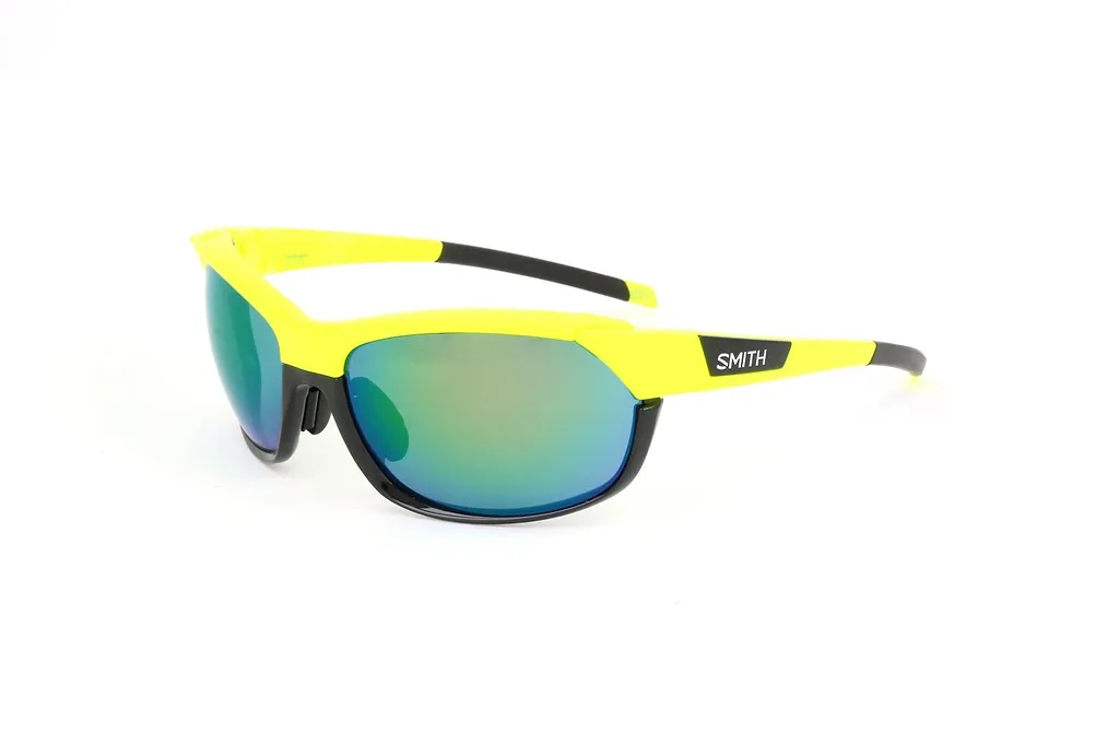 Smith Optics Overdriven Sunglasses