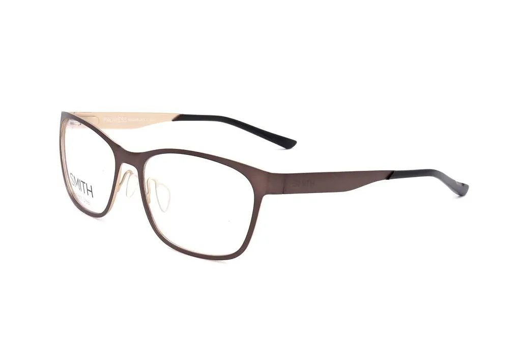 Smith Optics Prowess Glasses