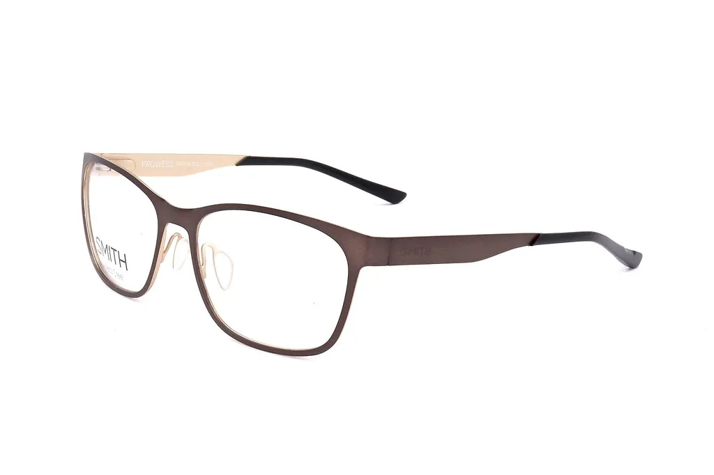 Smith Optics Prowess Glasses