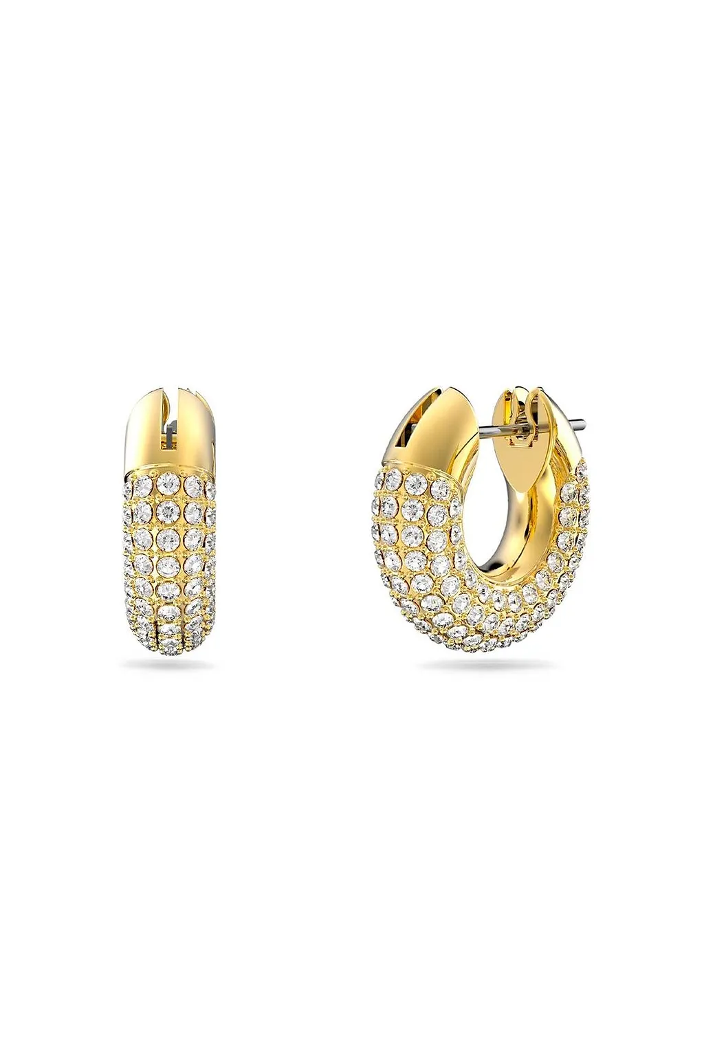Dextera Hoop Earrings