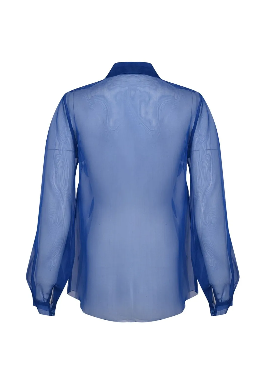 Hanita Sheer Ruffled Button-Front Top